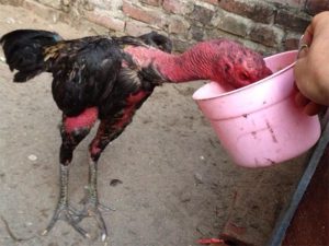 Duy trì chế độ dinh dưỡng hợp lý