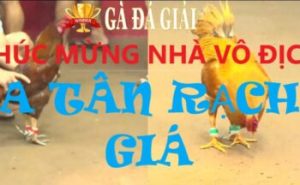 Chân Dung Nhà Vô Địch - A HOÀNG SG Hôm Nay 20/03/2024